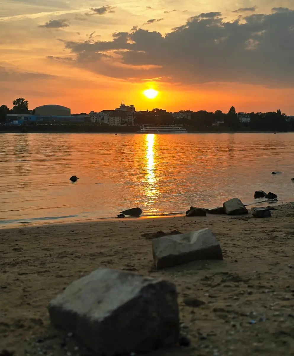 Sonnenuntergang am Rhein in Bonn